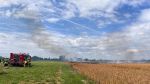 Brand